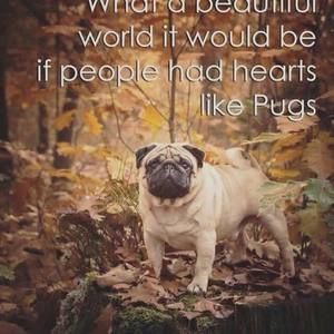 Meet your Posher, Sue